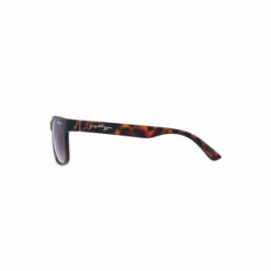 Hype. Brown Hawk Tortoise Shell Sunglasses -Hype Shop unnamed file 4980