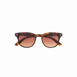 Hype. Brown Club Tortoise Sheel Sunglasses