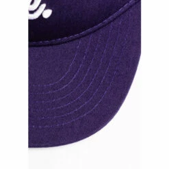 Hype. Kids Purple Snapback 5 Hype. Kids Purple Snapback -Hype Shop unnamed file 5355